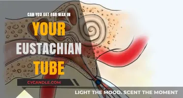 Ear Wax in Eustachian Tube: Causes, Symptoms, and Safe Removal Tips