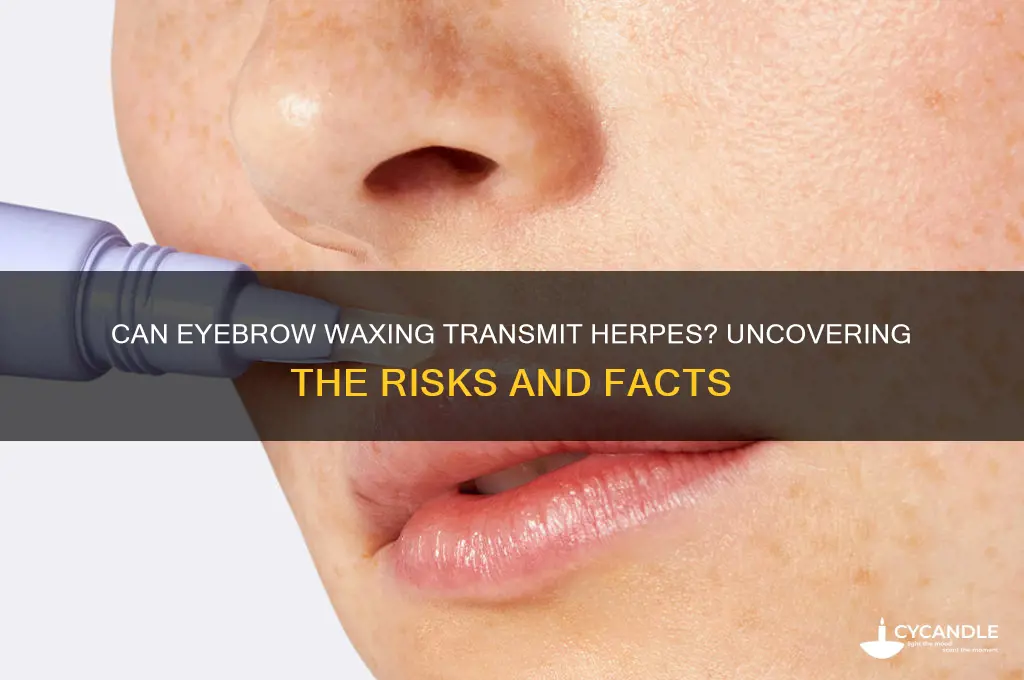 can you get herpes from eyebrow waxing