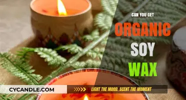 Discovering Organic Soy Wax: A Sustainable Candle-Making Alternative