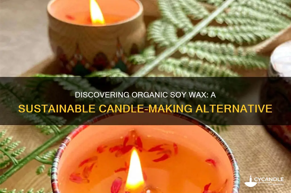 can you get organic soy wax