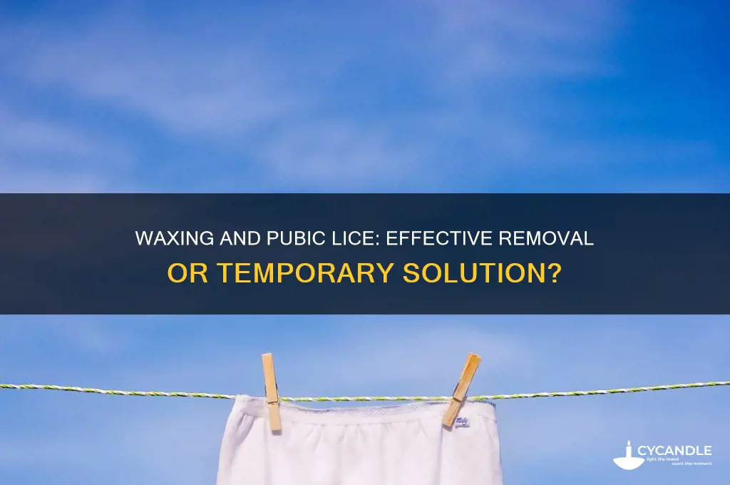 can you get rid of pubic lice by waxing
