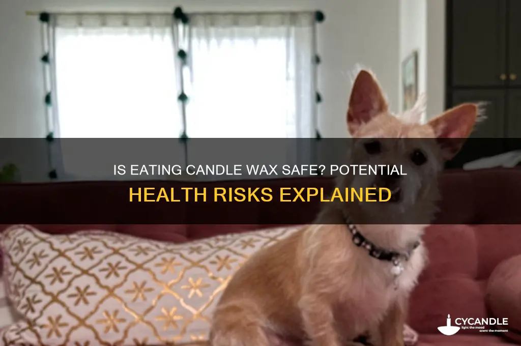 can you get sick from eating candle wax