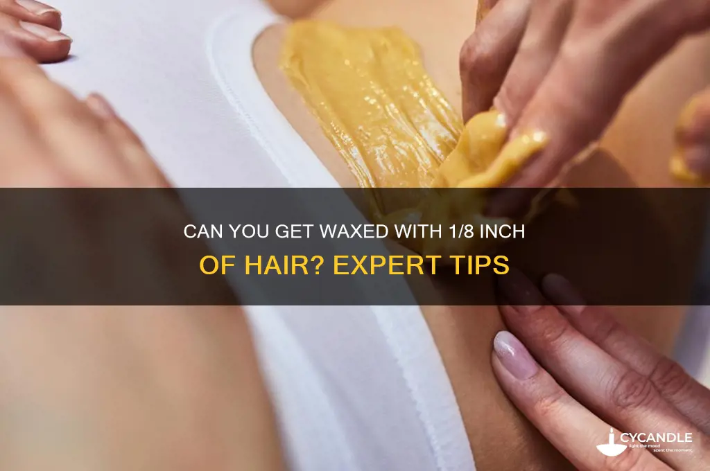 can you get waxed with 1 8 in of hair