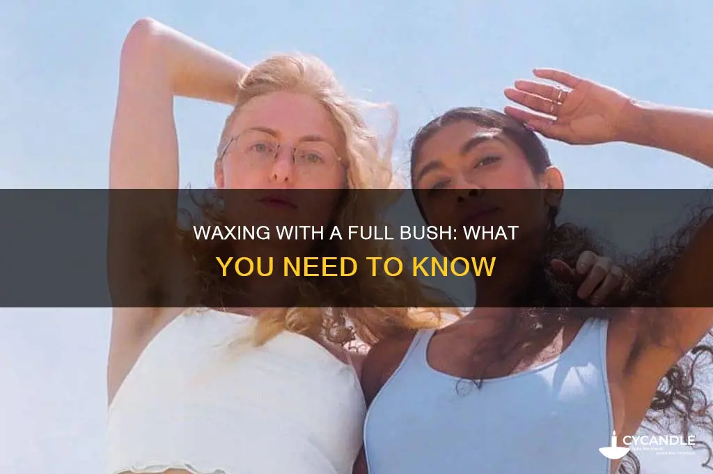 can you get waxed with a full bush