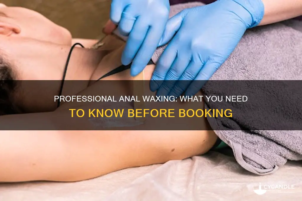 can you get your asshole professionally waxed