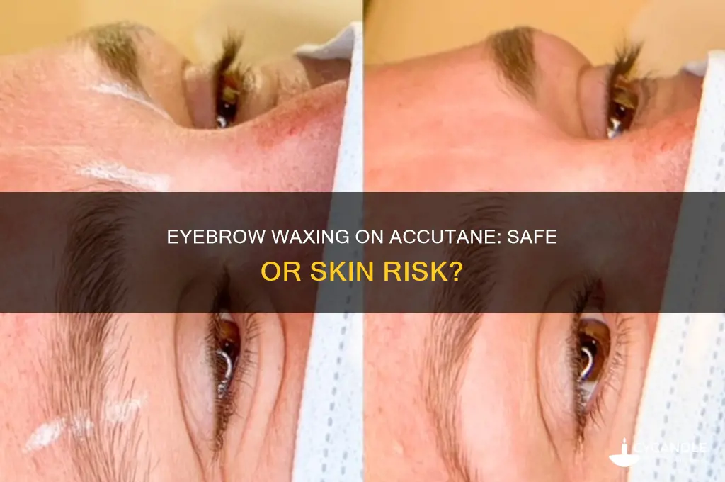 can you get your eyebrows waxed while on accutane
