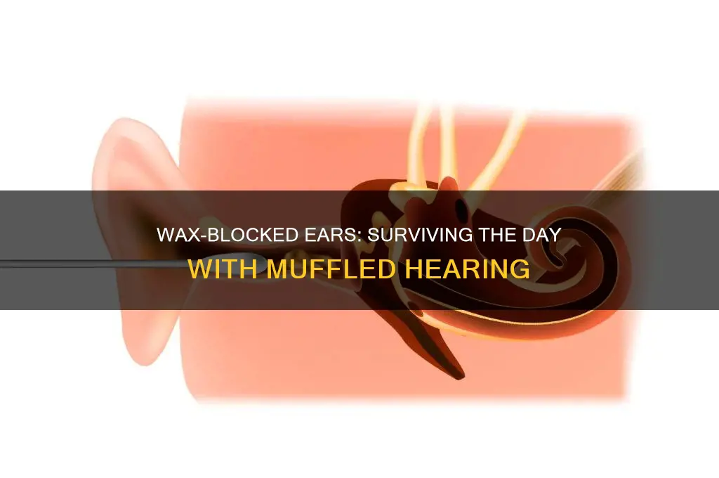 can you go through the day with wax blocked ears