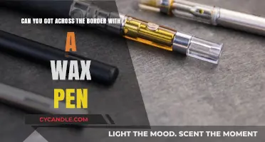 Crossing Borders with a Wax Pen: Legal Risks and Travel Tips