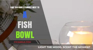 Candles Near Fish Bowls: Safe or Risky for Your Aquatic Pets?