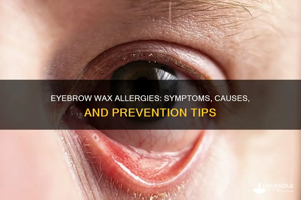 can you have an allergic reaction to eyebrow wax