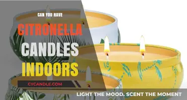 Indoor Citronella Candles: Safe Use and Effective Mosquito Repellent Tips