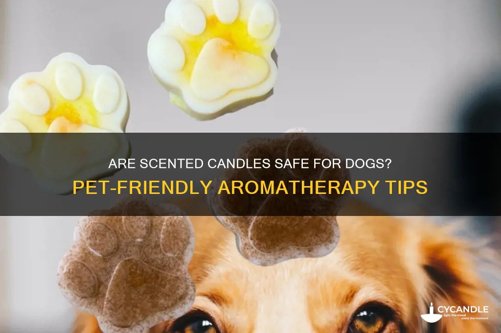 can you have scented candles around dogs
