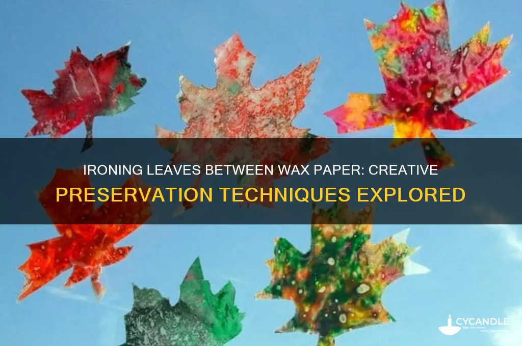 can you iron leaves between wax paper