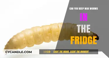 Storing Wax Worms in the Fridge: Tips and Best Practices