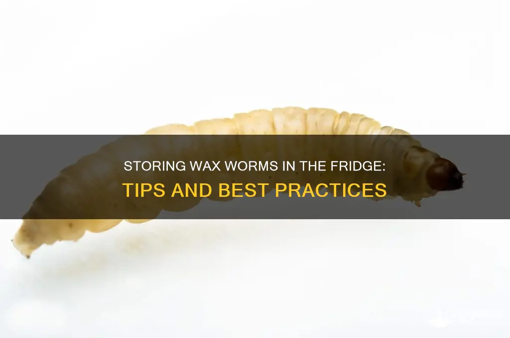 can you keep wax worms in the fridge