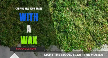 Waxing Woes: Can Lawn Care Products Harm Your Grass?