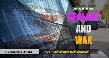 Layering Paint Sealant and Wax: Enhancing Car Protection and Shine