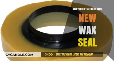 Lifting a Toilet with a New Wax Seal: What You Need to Know
