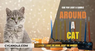 Candles and Cats: Safe Practices for Pet Owners to Follow