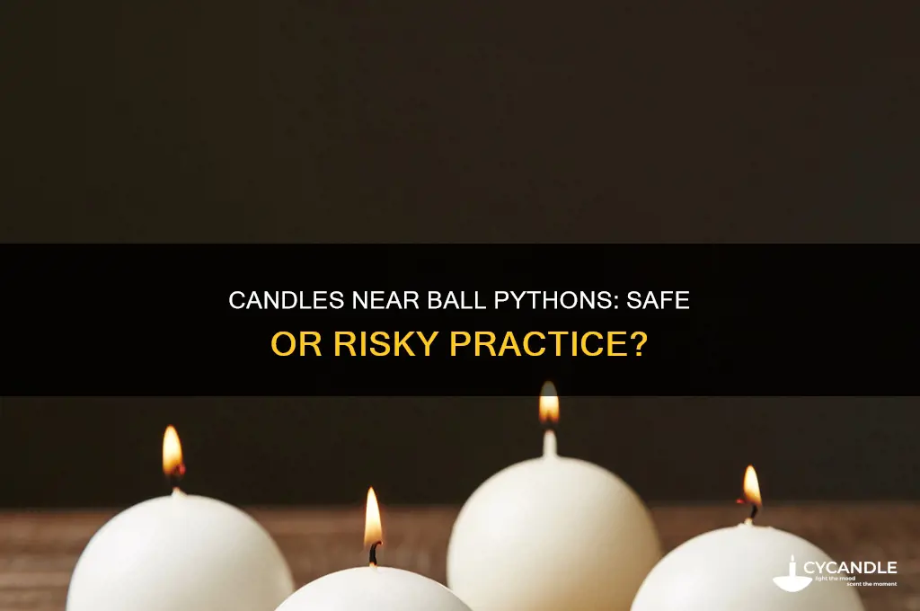 can you light candles around ball pythons