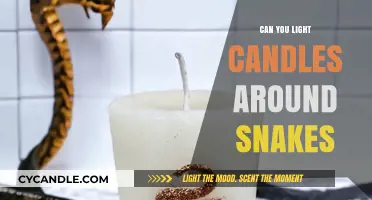Lighting Candles Near Snakes: Safe Practice or Dangerous Mistake?