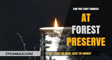 Lighting Candles in Forest Preserves: Safety, Rules, and Eco-Friendly Alternatives