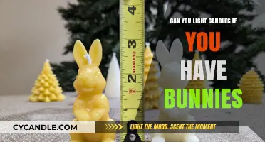 Candles and Bunnies: Safe Practices for Pet Owners to Follow