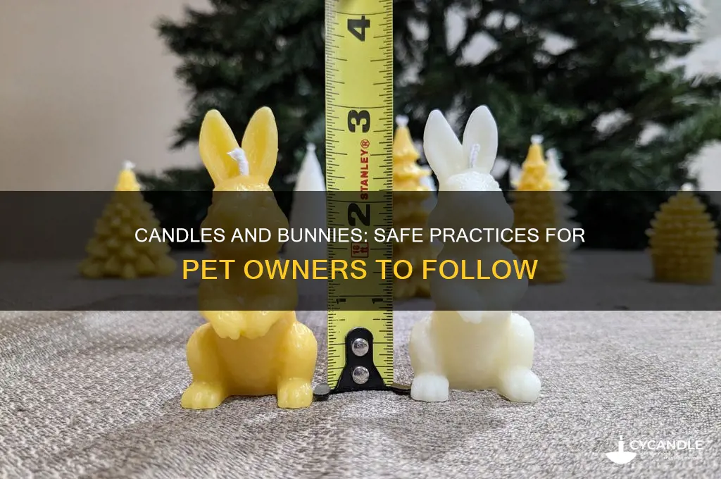can you light candles if you have bunnies