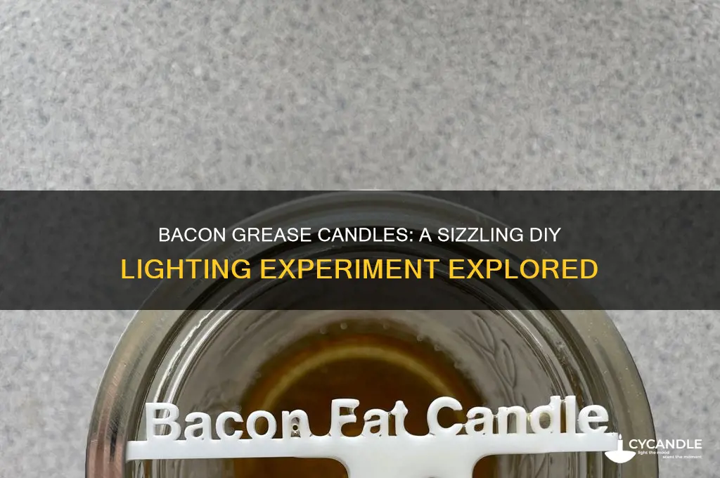 can you make a candle from bacon grease