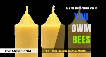 Beekeeping and Candle Making: Crafting Wax from Your Own Hive