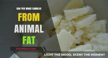 Crafting Candles from Animal Fat: A Historical and Practical Guide