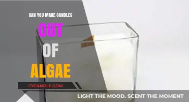Eco-Friendly Candle Making: Crafting Algae-Based Wax Alternatives