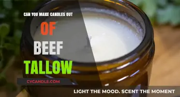 Crafting Candles with Beef Tallow: A Sustainable Lighting Alternative