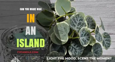 Crafting Island Wax: A Creative Guide to Sustainable Production