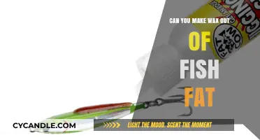 Crafting Wax from Fish Fat: A Sustainable Alternative Explored