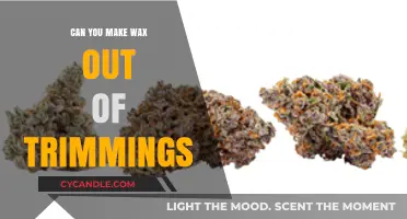 Transforming Cannabis Trimmings into Wax: A Sustainable Extraction Guide
