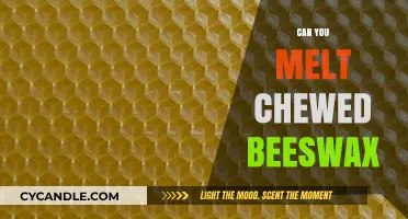 Can You Melt Chewed Beeswax? A Surprising DIY Experiment