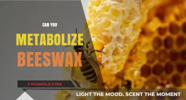 Can Humans Metabolize Beeswax? Uncovering the Truth and Uses