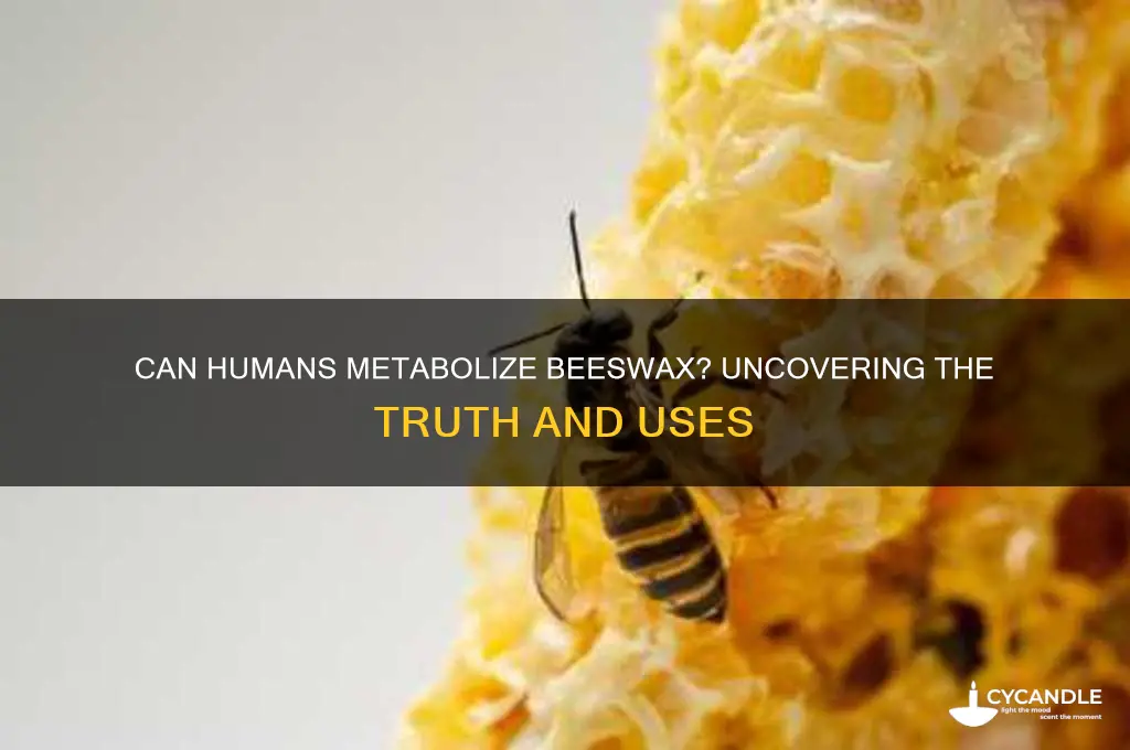 can you metabolize beeswax