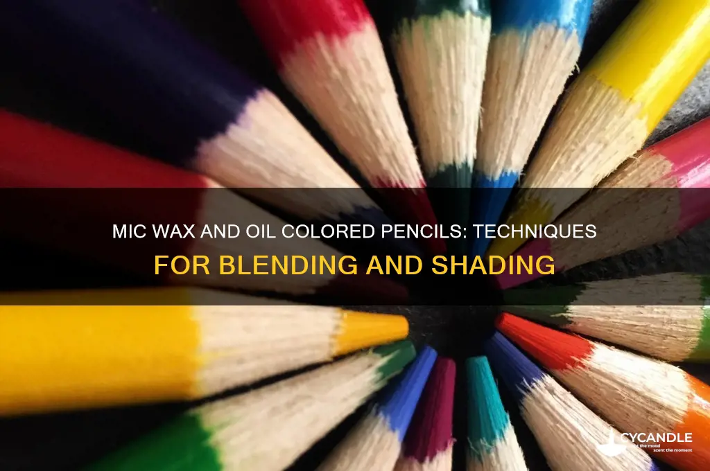 can you mic wax and oil colored pencils