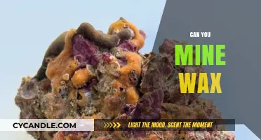 Exploring the Possibility: Can You Mine WAX Cryptocurrency?
