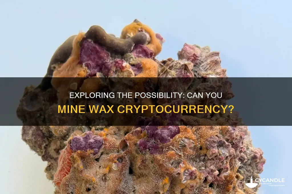 can you mine wax