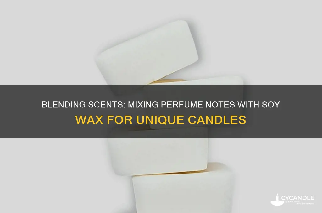 can you mix perfume notes with soy wax