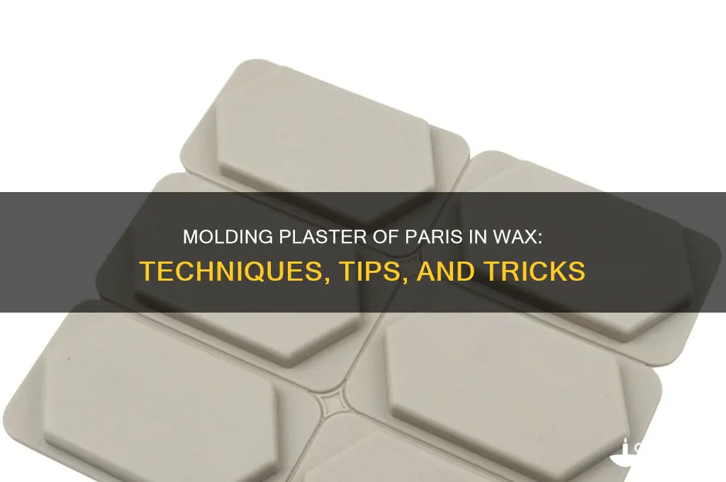 can you mold plaster of paris in wax