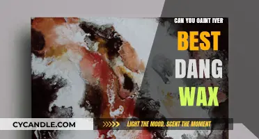 Reviving Old Surfaces: Painting Over Best Dang Wax – Tips and Tricks