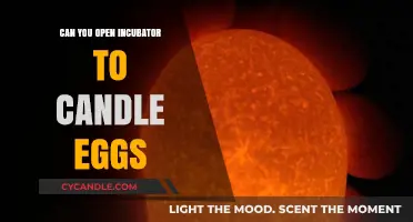 Can You Open an Incubator to Candle Eggs? A Guide