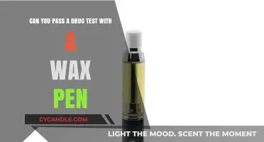 Wax Pens and Drug Tests: Can You Pass Without Detection?
