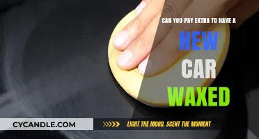 Should You Pay Extra for a Professional Wax on Your New Car?