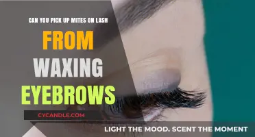 Eyebrow Waxing and Lash Mites: Can They Transfer During Grooming?