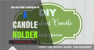 Planting Succulents in Candle Holders: Creative Ideas and Tips